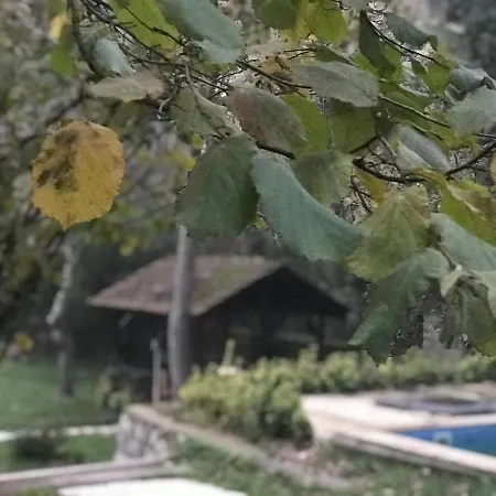 Villa Otantik *