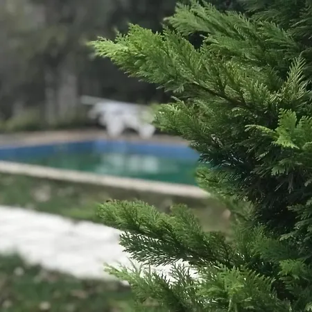 Villa Otantik *