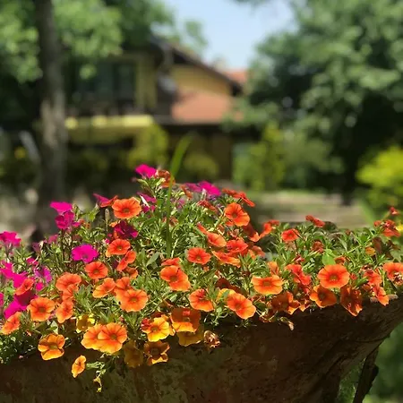Villa Otantik Sapanca